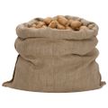 vidaXL Jutové vrecia 10 ks 100 x 110 cm 100 % juta 340 g/m²
