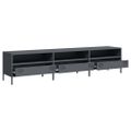 vidaXL TV skrinka antracit 202x39x43,5 cm oceľ valcovaná za studena