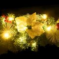 vidaXL Vianočná girlanda s LED svetielkami zelená 2,7 m PVC