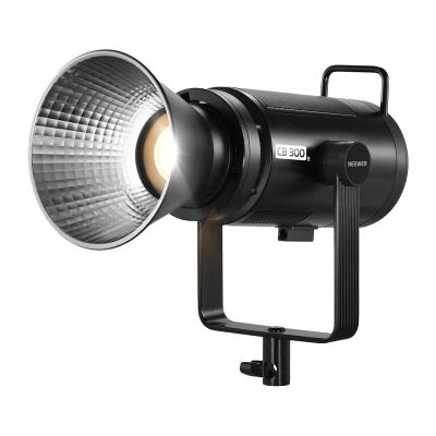 Dvojfarebné LED svietidlo Neewer CB300B