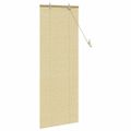 vidaXL Roleta Príroda 60 x 160 cm Bambus