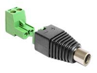Adaptér napájania - svorkovnica s 2 pinmi (F) do DC jack 2.1 mm (F)