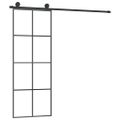 vidaXL Posuvné dvere s kovaním 76x205 cm ESG sklo a hliník