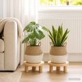 vidaXL Kvetináč s uchami 2 ks Biela Ø 32 x 32 cm 100% Morská tráva