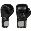 Boxerské rukavice DBX BUSHIDO B-2v9 14 oz