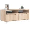 vidaXL TV skrinka "VISNES" Dub sonoma 100x40x38 cm Konštrukčné drevo