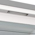 GORENJE FN619EAXL6  Skriňová mraznička