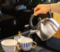 Nerezová kanvica s píšťalkou 2L TEESA TSA0154 Nerezová konvice s píšťalkou 2L TEESA TSA0154