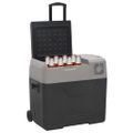 vidaXL Chladiaci box s kolieskom a rukoväťou čierno-sivý 36 l PP