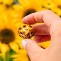 Sada kociek: Full Art Dice Set - Sunflower
