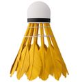 Badmintonové loptičky NILS NBL6216 multicolor 6 ks