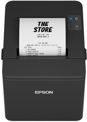 Epson TM-T20IV (101): USB + Serial, PS, Blk, EÚ