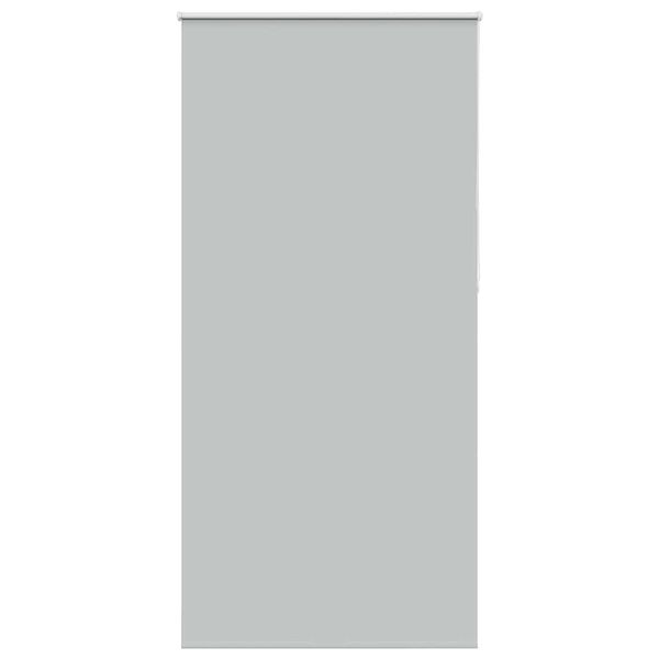 vidaXL Roleta Zatemnenie svetlo šedá 95x210 cm Šírka látky 90,7cm