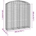 vidaXL Oblúkový gabionový kôš 200x50x200/220 cm pozinkované železo