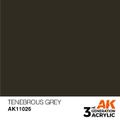 AK Interactive: General Series - Tenebrous Grey