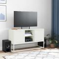 vidaXL TV skrinka biela 100,5x39x60,5 cm oceľ