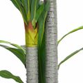 vidaXL Umelý dracaena strom 36 listov 120 cm zelený