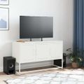 vidaXL TV skrinka biela 100,5x39x60,5 cm oceľ