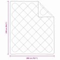 vidaXL Zimný prehoz 240 x 200 x 5 cm Zima Polyester Biela Priedušná