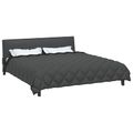 vidaXL Zimný prehoz 200 x 200 cm 450 gsm Mikrovlákno (100% polyester)