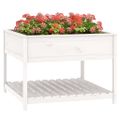 vidaXL Kvetináč s policou biely 111,5x111,5x81 cm masívna borovica