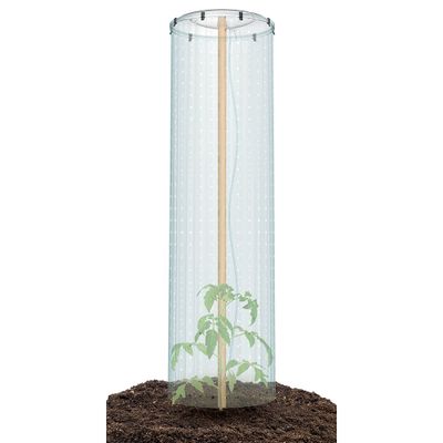 Súprava na pestovanie paradajok TOMATO GROWER CAP 38,5cm