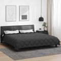 vidaXL Zimný prehoz 200 x 220 cm 450 gsm Mikrovlákno (100% polyester)