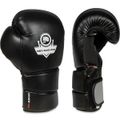 Boxerské rukavice DBX BUSHIDO B-2v9 14 oz