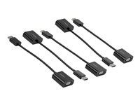 StarTech 5-Pack DisplayPort to VGA Adapter, DisplayPort 1.2 HBR2 to VGA Active Adapter, Digital DP to Analog VGA Video Converter Dongle, DisplayPort Male to VGA Female Monitor Adapter - Active DP 1.2 to VGA (DP2VGA3X5) - Video adaptér - DisplayPort (M) do HD-15 (VGA) (F) - DisplayPort 1.2 - 10 cm - podpora 1080p, aktívny - čierna (balenie 5)