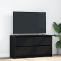 TV Skrinka vidaXL Čierna 100x35x54 cm Upravené drevo