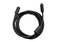 USB kábel - USB-C (M) do USB-C (M) - pre Rally
