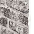 vidaXL Nástenné panely 10 ks 100 x 50 cm Tmavo šedá a biela EPS pena