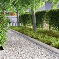 vidaXL Obrubník trávnika 450 x 15 cm Nerezová oceľ Strieborná