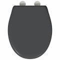 vidaXL WC sedadlo Antracit 47 x 37 x 4 cm Duroplast