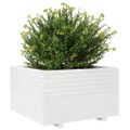vidaXL Záhradný kvetináč biely 80x80x49,5 cm masívna borovica