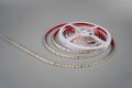 Modee LED pás DC24V 9,6W/m 128LED/m 8mm IP20 4000K (1150 lm/m) B5 (ML-LS24V48W128L/M4000KB5)
