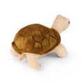 Plyšová korytnačka Agáta 25 cm ECO-FRIENDLY