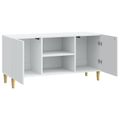 vidaXL TV skrinka Biela 102 x 34,5 x 50 cm Kompozitné drevo