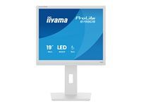 LED monitor - 19" - 1280 x 1024 @ 75 Hz - TN - 250 cd/m² - 1000:1 - 3 ms - HDMI, DisplayPort - reproduktory - biela, matná