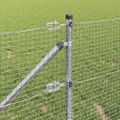 vidaXL Zváraný drôtový plot s hrotmi 10 x 0,8 m Pozinkovaná oceľ