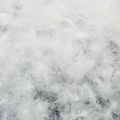 vidaXL Súprava paplónu z 90% husacieho peria FULDA 2 ks 155 x 200 cm