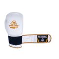 Boxerské rukavice DBX BUSHIDO DBD-B-2 14 oz