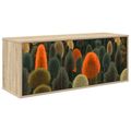 vidaXL Nástenný TV kabinet ZAANDAM 102 x 33 x 40 cm Dub sonoma