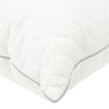 vidaXL Vankúš FULDA 2 ks 60 x 60 cm 100% husacie perie a dolu Biela