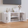 vidaXL TV skrinka lesklá biela 100x35x40 cm spracované drevo