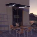 vidaXL Ručne zaťahovacia markíza s LED antracitová 350x250 cm