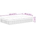 vidaXL Taštičkový pružinový matrac stredne tvrdý plus 100x200 cm