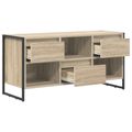 vidaXL TV skrinka 100 x 36 x 49,5 cm Sonoma Kompozitné drevo