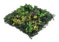 Umelá zelená stena G21 Listo Herb, 50x50 cm