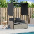 vidaXL Dvojité ležadlo so strieškou a závesmi svetlosivé polyratan